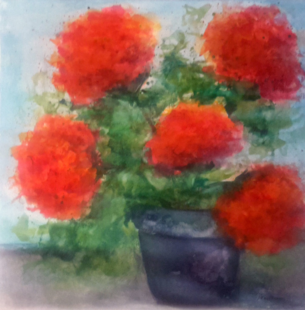 05.07.20-pot-of-geranimums-